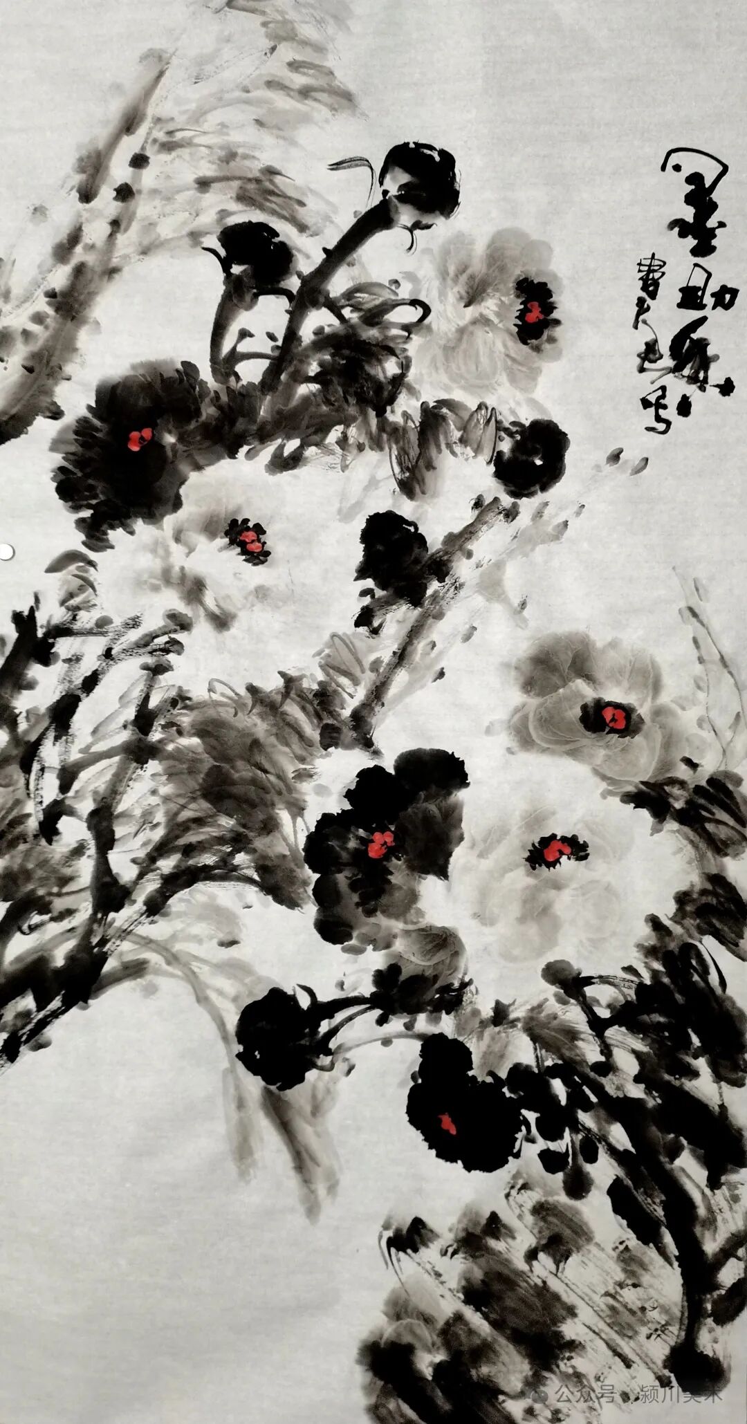圖片