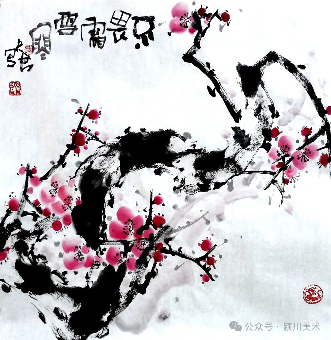 圖片