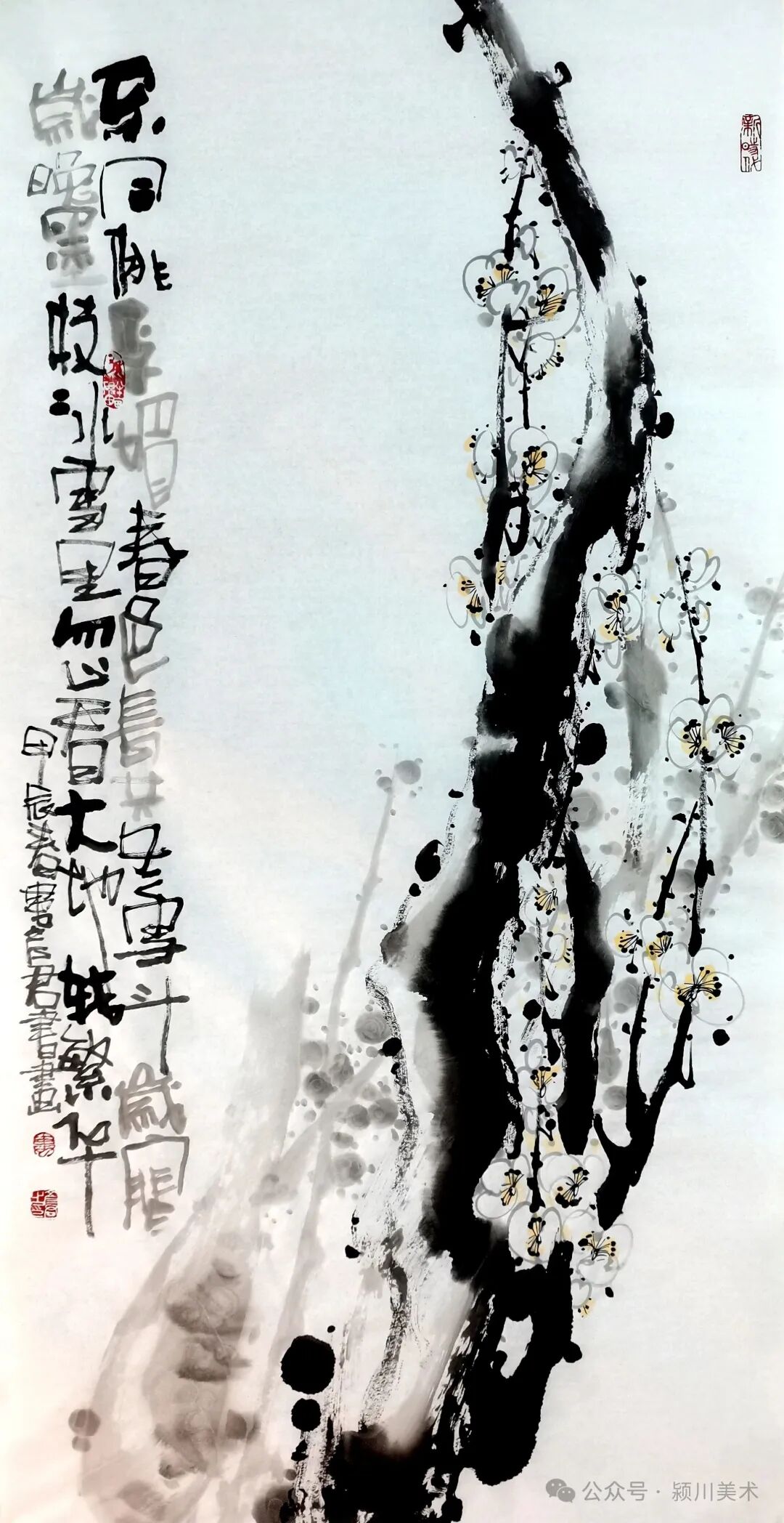 圖片
