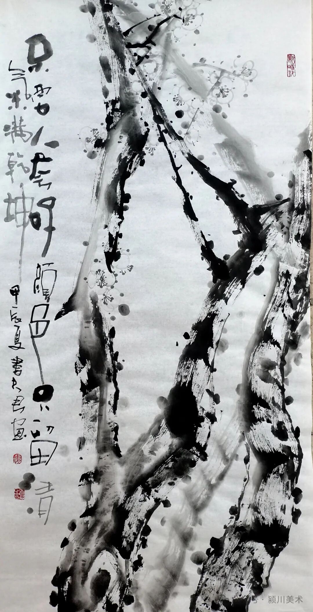 圖片